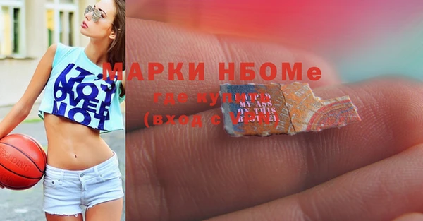 индика Касимов