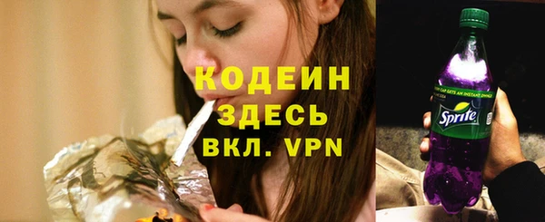 индика Касимов