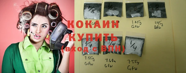 индика Касимов