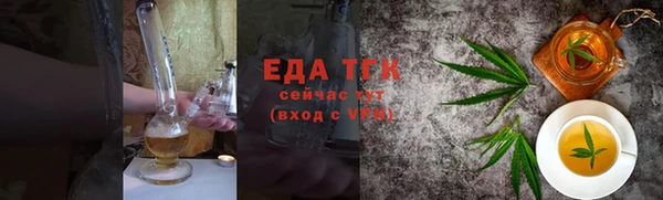 индика Касимов