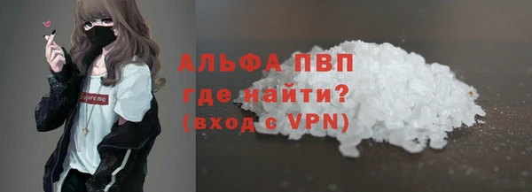 индика Касимов