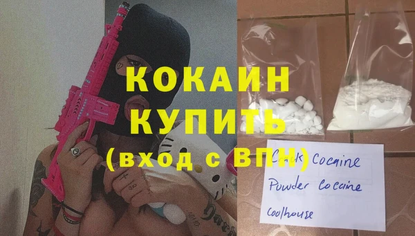 индика Касимов
